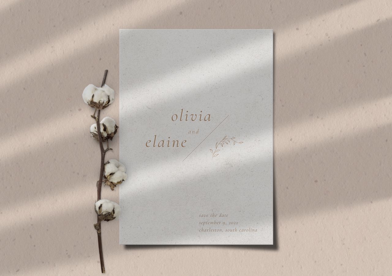 Elaine Save the Date