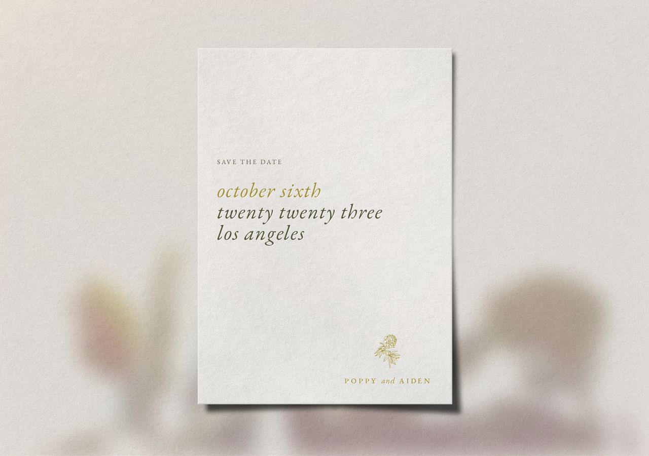 Aiden Save the Date