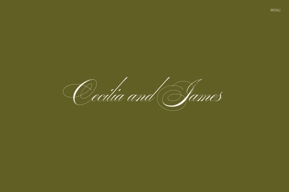 Cecilia Brief main image 0