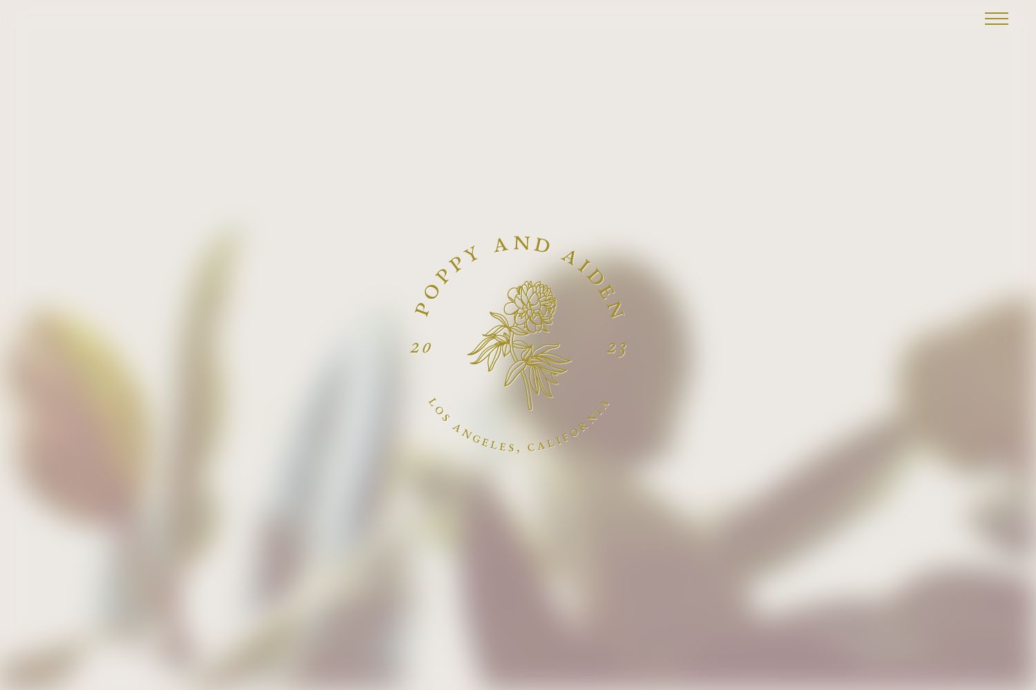 Aiden Wedding Website