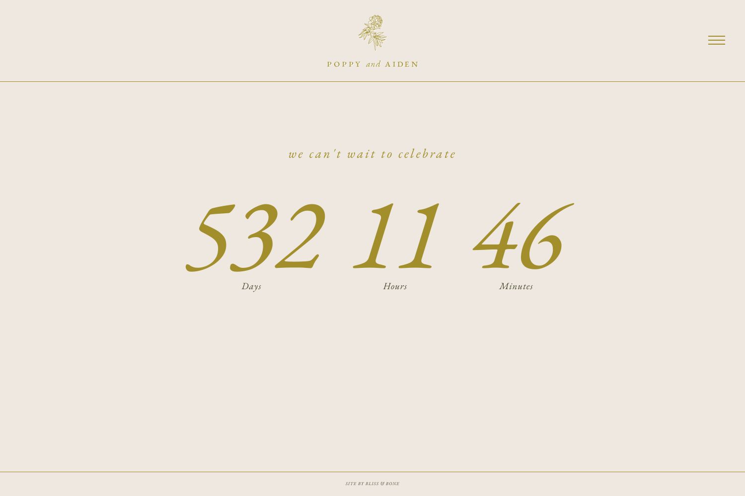 Aiden Wedding Website