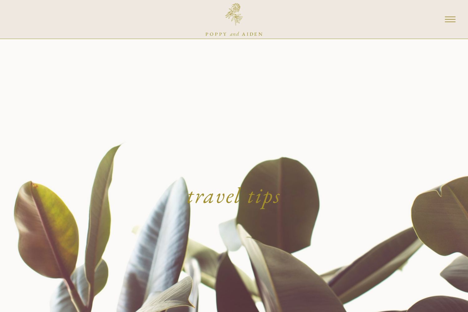 Aiden Wedding Website