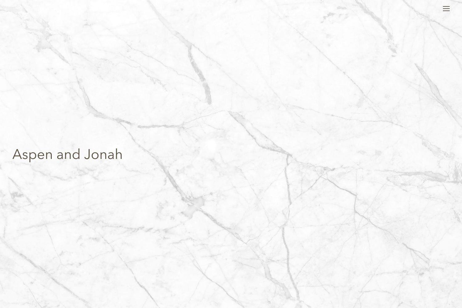 Aspen Wedding Website