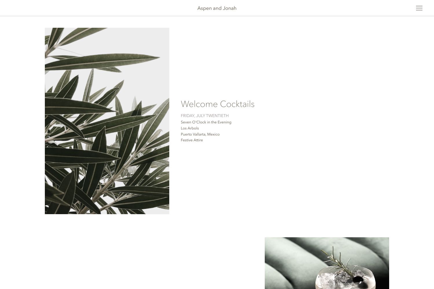 Aspen Wedding Website