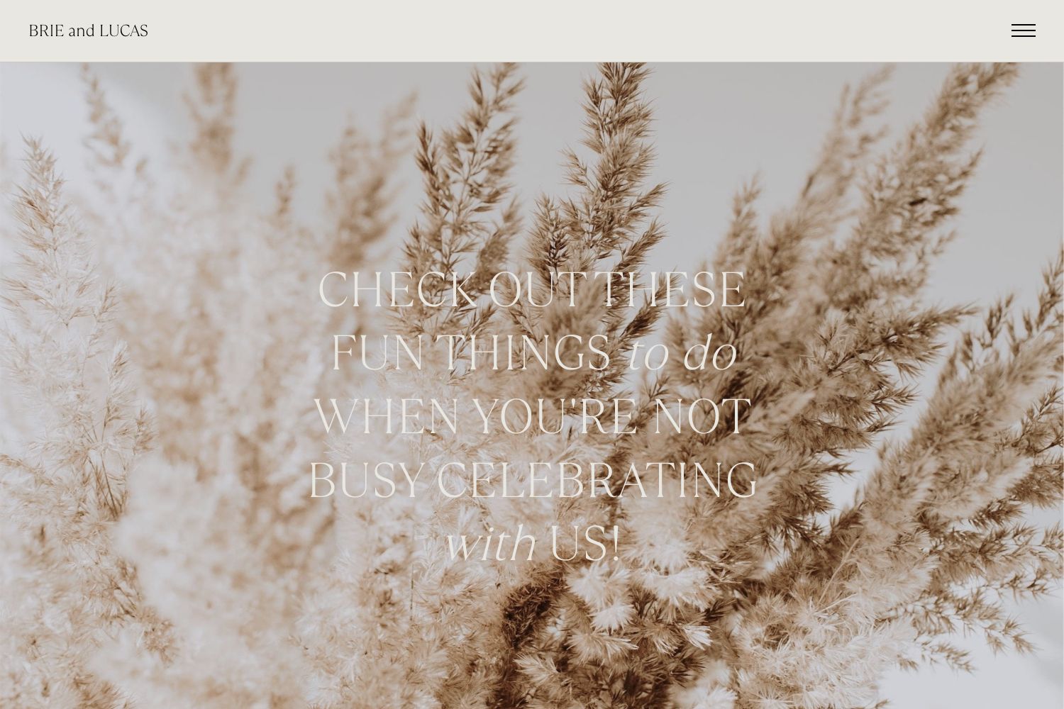 Brie Wedding Website