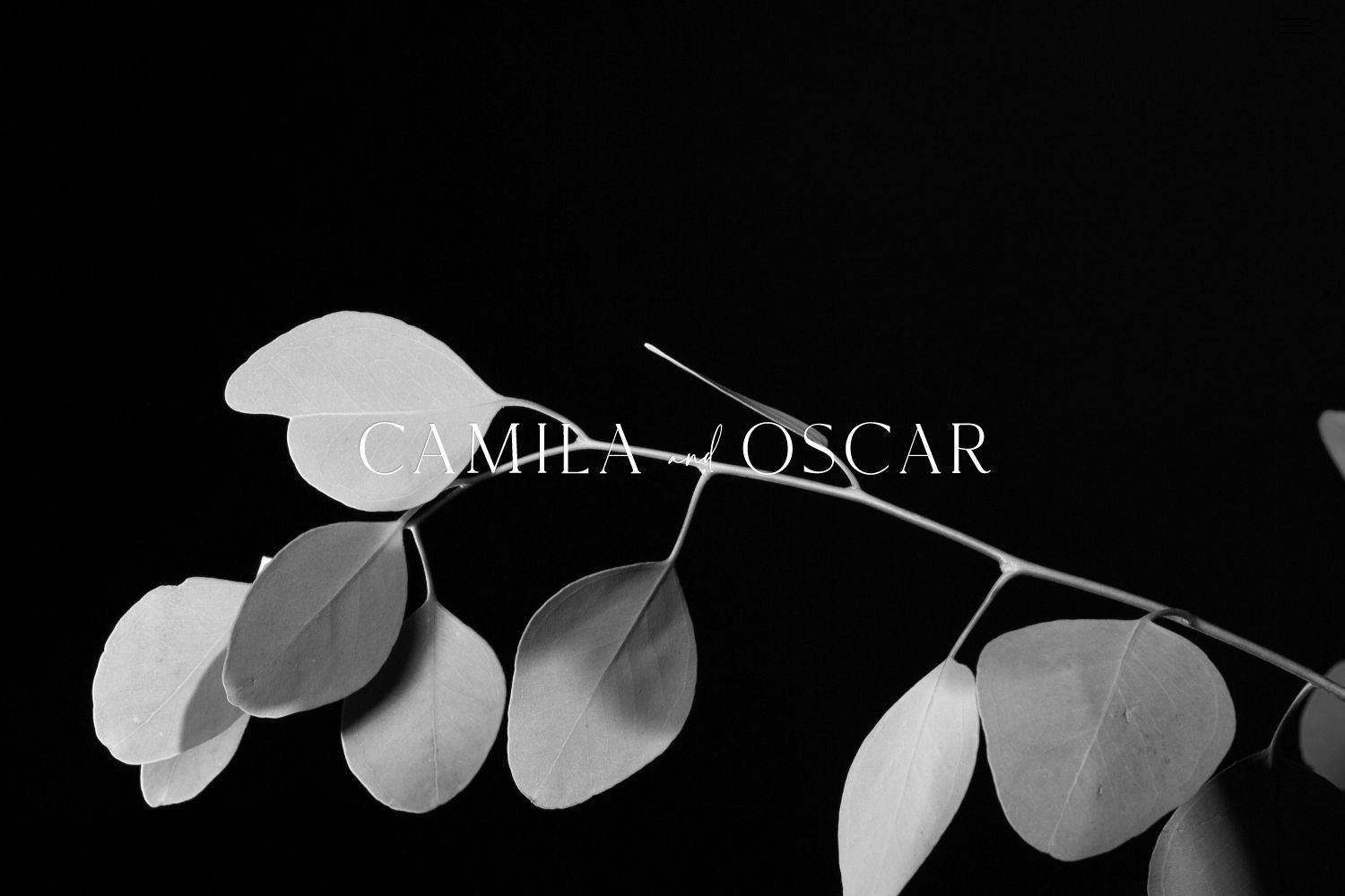 Camila Wedding Website