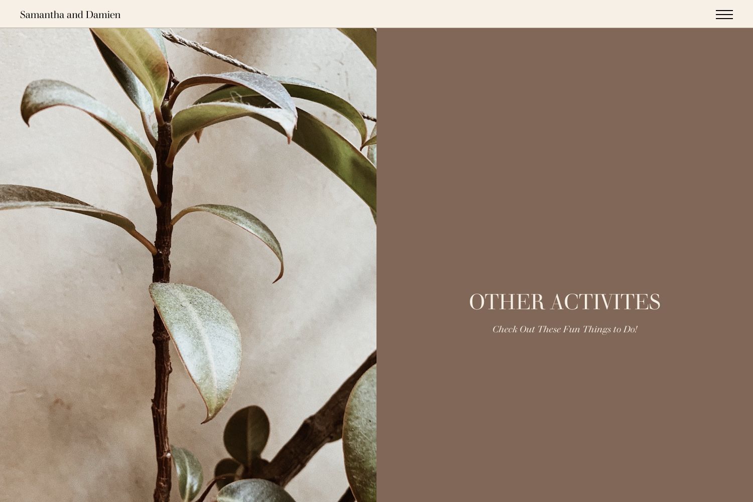 Damien Wedding Website