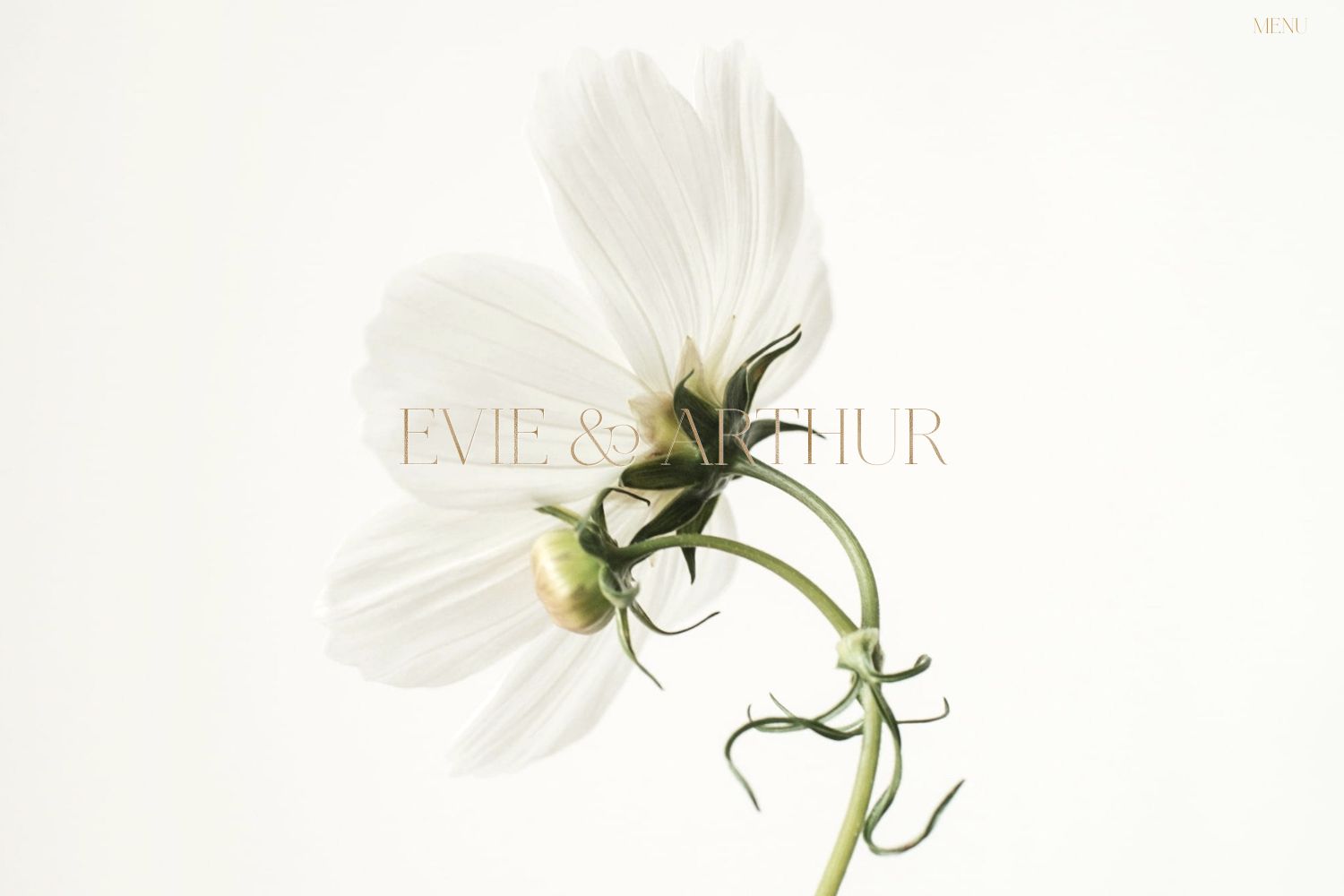 Evie Wedding Website