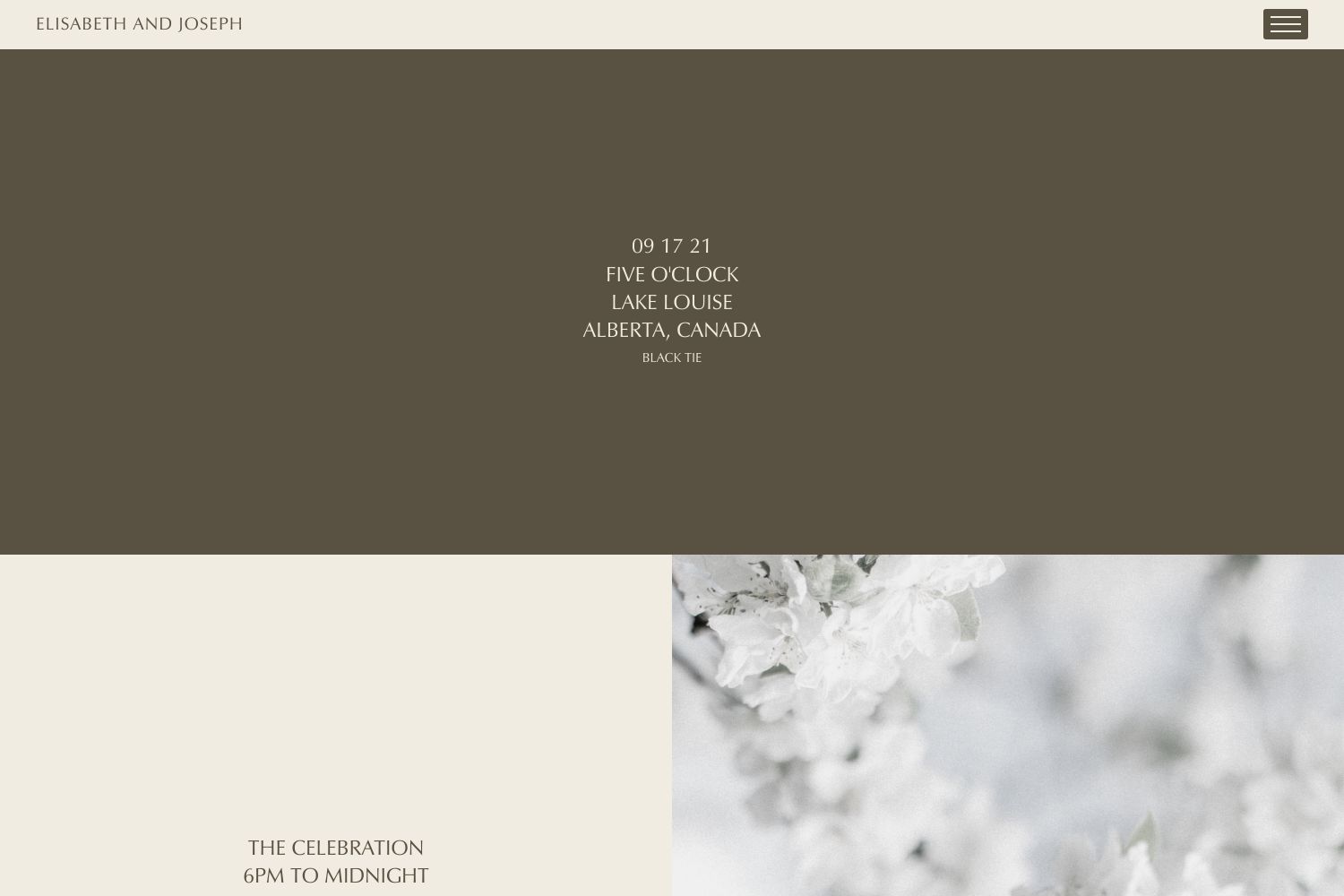 Hayes Wedding Website